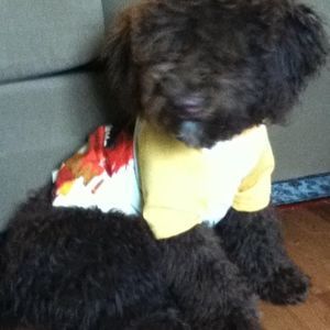 Meet your Posher, Robert